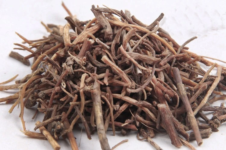 Gentian Root Powder Gentian Root Powder