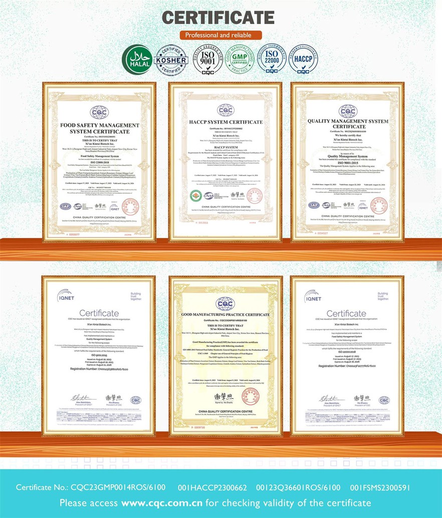 kintai certificates kintai certificates