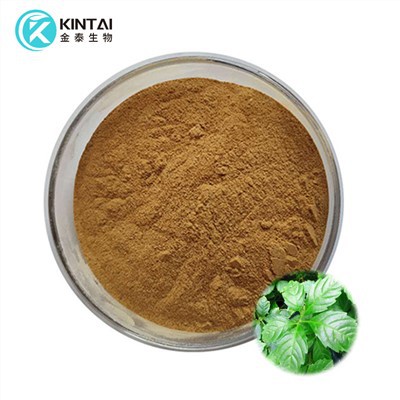 Gynostemma 추출물 분말