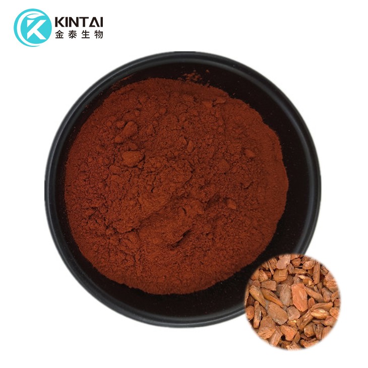 소나무 껍질 추출물 분말