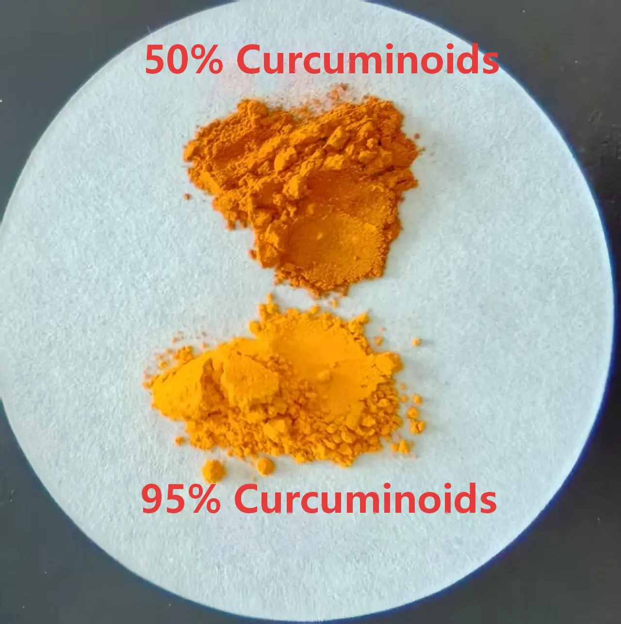 Curcumin Extract Powder best
