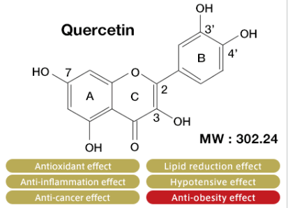 quercetin Powder quercetin Powder