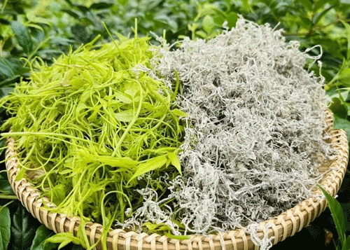 Natural Sources Of Dihydromyricetin Natural Sources Of Dihydromyricetin